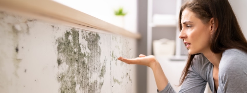 woman looking at mold growth